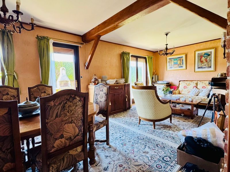 maison-mitoyenne-salon2