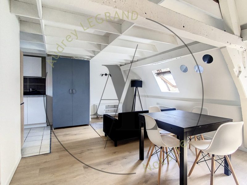 Appartement-saint-omer-salon1