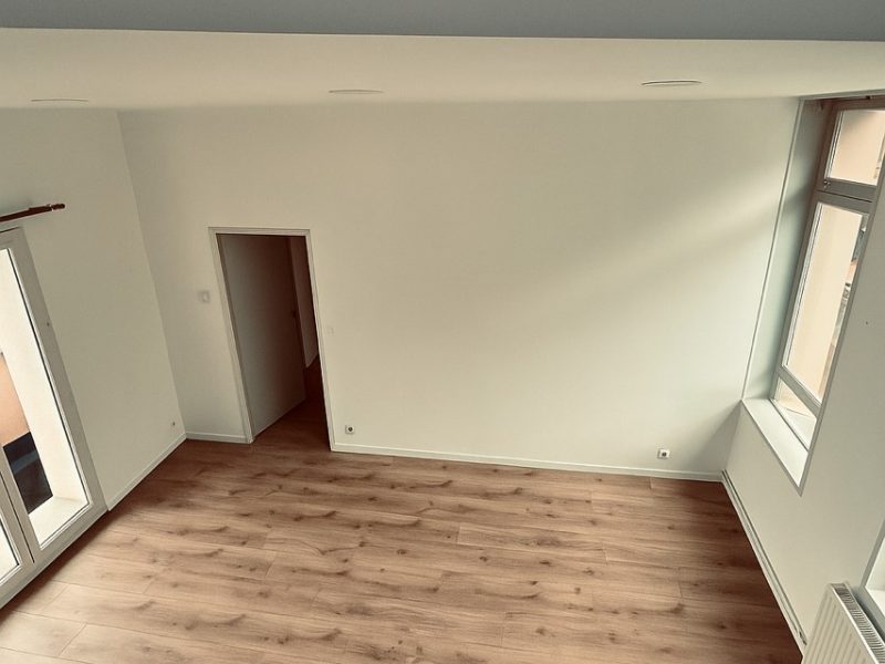 appartement-saint-omer-salon